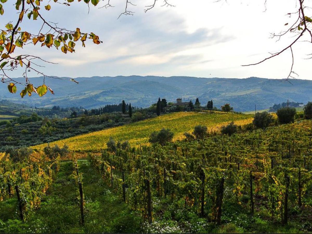 Apartment Colombaia - Aia By Interhome Lucolena in Chianti Экстерьер фото